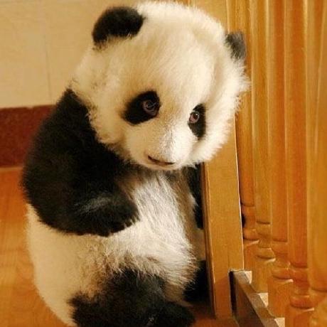 Nan9804 Nan Github - Minimal Photos - Beautiful 8K Collection