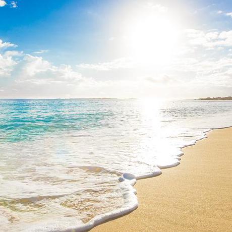 Kaki 11 Kaki Github - Sunset Backgrounds - Stunning Mobile Collection