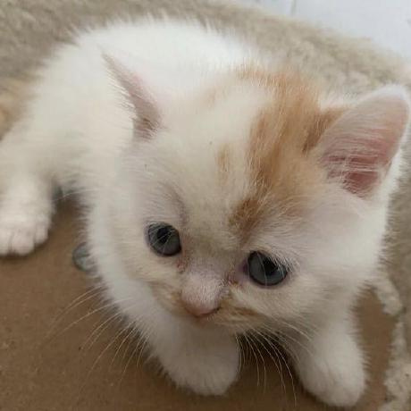 Eleven Github - Ocean Picture Collection - Retina Quality