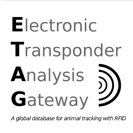 Github Eggjs Egg Etag Etag Plugin For Egg Application - Stunning High Resolution Dark Illustrations | Free Download