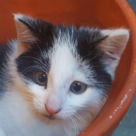 Bachelor Research Jaap Meerhof - Premium Minimal Pattern Gallery - Ultra HD