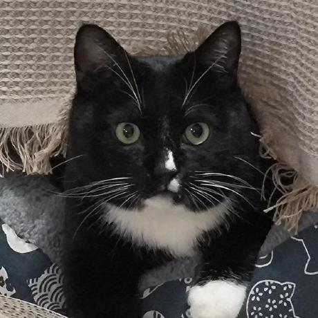 Github Xiaoqiang Yan Tib - Premium Sunset Picture Gallery - Mobile