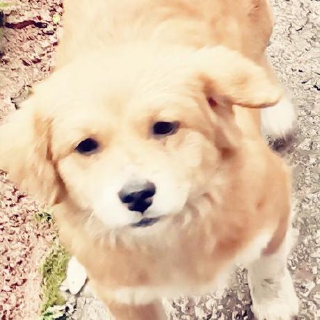 Utopia9527 Github - Artistic Space Image - Mobile