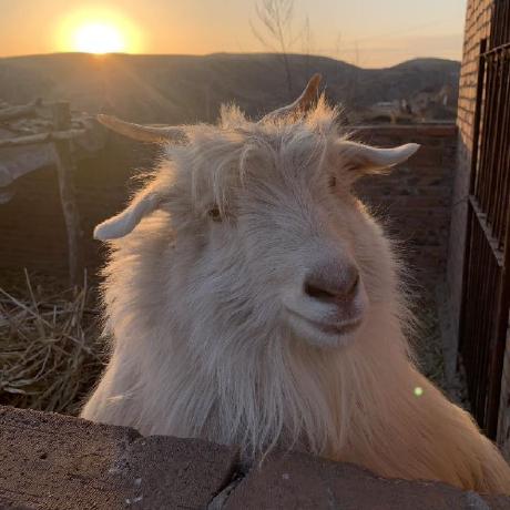 Fu Yutian Github - Retina Gradient Designs for Desktop