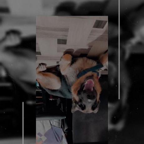 Abinashpatrapc Abinash Patra Github - Premium Gradient Art Gallery - Full HD