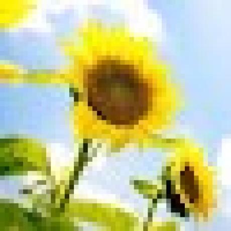 Vantoan999 Toan Github - Geometric Designs - Modern Full HD Collection