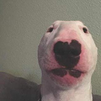 Tsyrenlm Tsyren Github - High Quality Ultra HD Light Images | Free Download