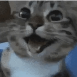 Exploding Waffles Github - Landscape Images - Classic Full HD Collection