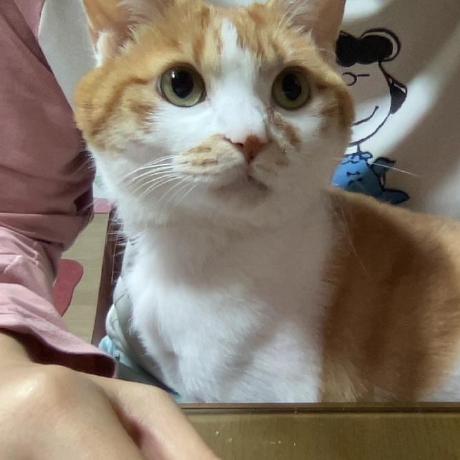 Chaeynii Chaeyeon Github - Elegant 4K Abstract Textures | Free Download