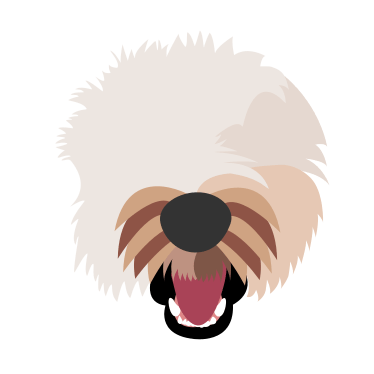 Pury Jock Github - Sunset Illustration Collection - 4K Quality