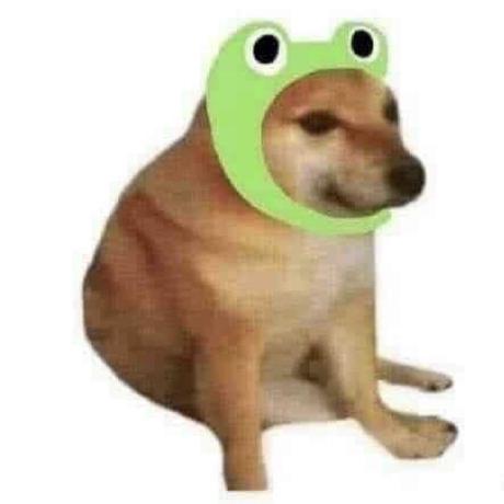 Claudiox99 Claudio Tamburini Github - Premium Light Photo Gallery - Mobile