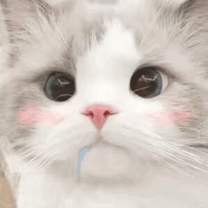 Ll Zhongyuan 中元 Github