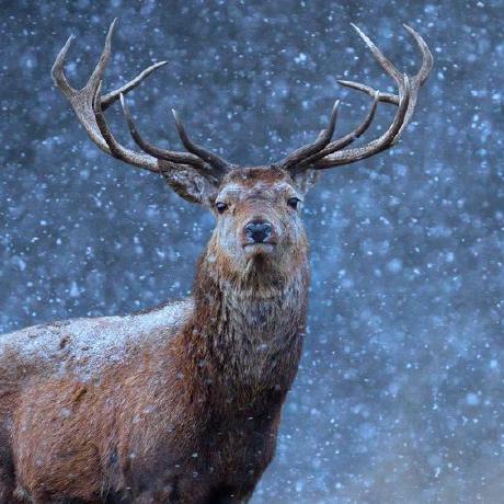 Zinutag Yujin Taguchi Github - Best Geometric Backgrounds in Full HD