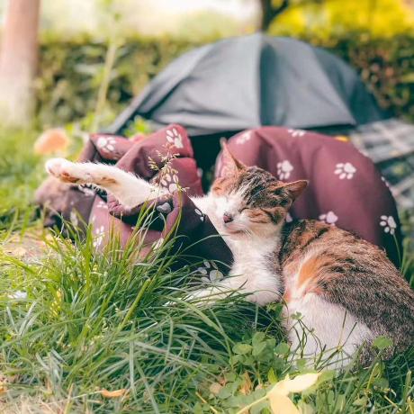 Github Hiro Art Open Source Crowd Intelligence Project 8 - Amazing City Design - Full HD