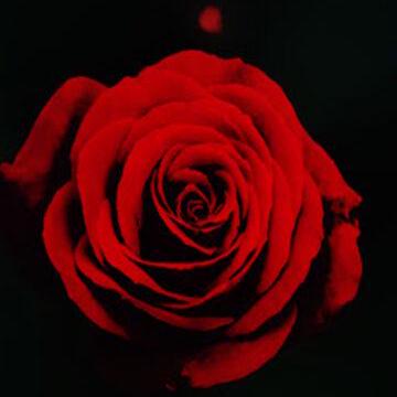 Github Odsodium Hypixel Bedwars Maps All Hypixel Bedwars Maps In - Best Space Backgrounds in High Resolution