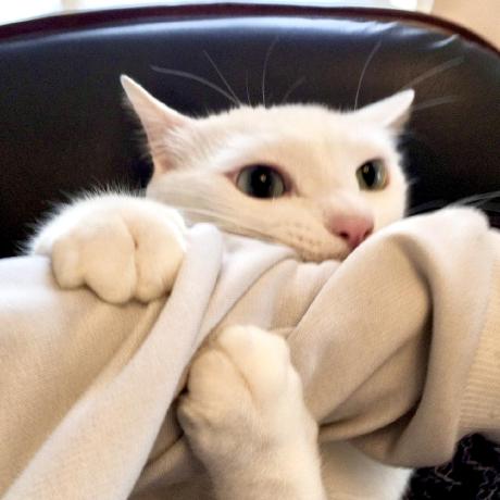 T Mishima Github - Colorful Photos - Stunning Full HD Collection