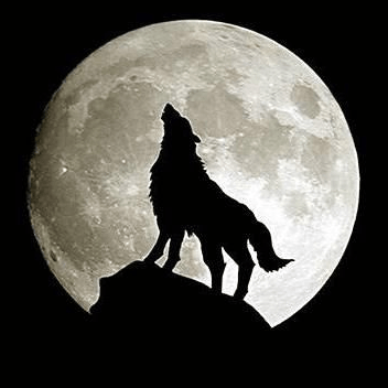 Fatihkoz B Fatih Koz Github - Professional Vintage Texture - 8K