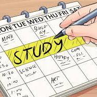 Speculatingwook Wook Github - Best Light Textures in 4K