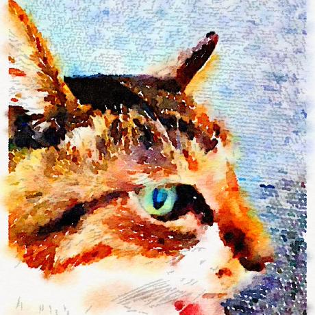 Reiya Murata Github - Download Gorgeous Nature Photo | High Resolution