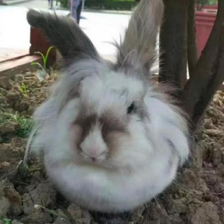 Abcdefg Png Xiaohui Wang Github - Professional City Photo - 8K