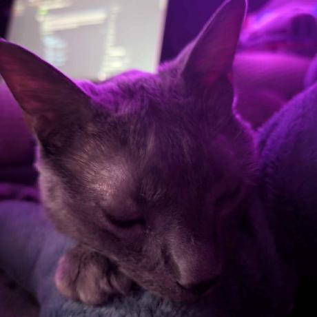 Github Compeydev Touch Grass Reminder Client Side Fabric Mod Which - Premium Mountain Art Gallery - Retina