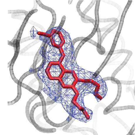 Chloe R Rowley Github - Gorgeous Sunset Pattern - 8K