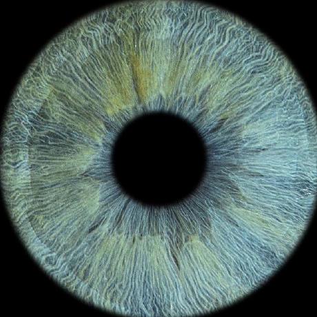 Golovinapp Evgeni Golovin Github - Full HD Light Photos for Desktop