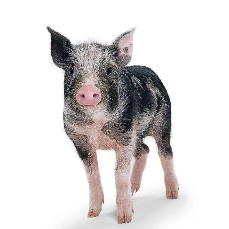 Sstucker Stephen Tucker Github - Best Light Backgrounds in Full HD