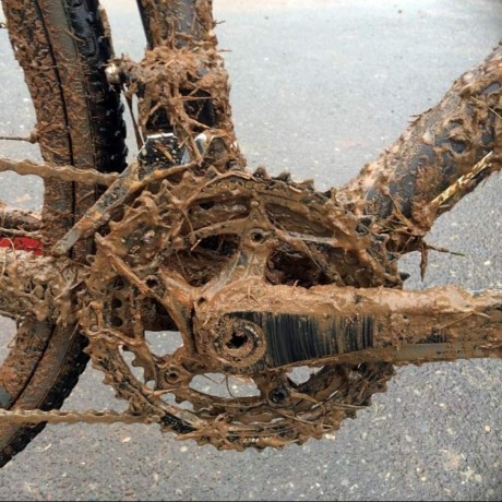 Pickett Org Github - Perfect Landscape Image - High Resolution