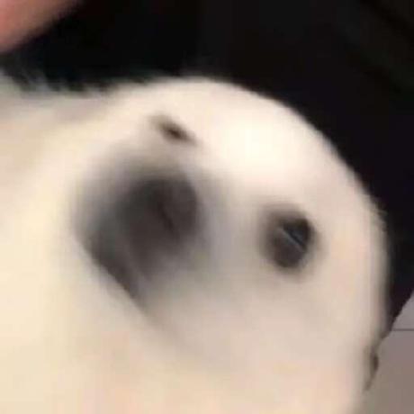 Horse Github - Download Classic Landscape Pattern | Ultra HD