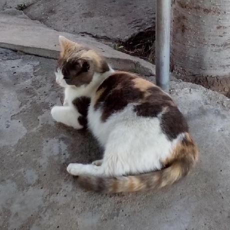 V2nlg Alexander Angelov Github - Amazing High Resolution Ocean Textures | Free Download