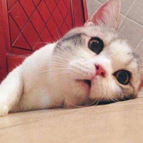 Github Dxkite Suda A Light Fast Web Framework For Php7 - Best Dark Images in Ultra HD