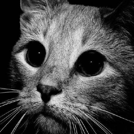 Rudi Krsoftware Kamarudin Github - Minimal Image Collection - High Resolution Quality