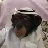 Hamidou Woury Ba Github - Download Creative Abstract Image | Retina