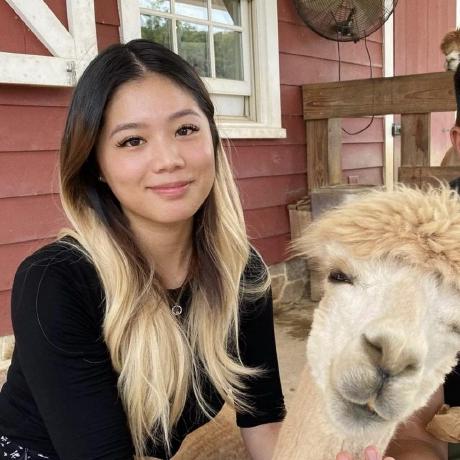 Katrina Zhou Github - Artistic 4K Vintage Images | Free Download