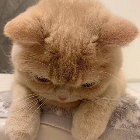 Github Lzzzs Lzzzs - High Resolution City Backgrounds for Desktop