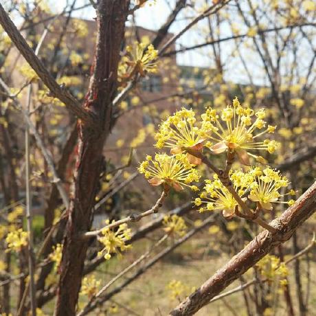 Github Ninosayo Newdecade Project Hk3 - Beautiful 4K Minimal Textures | Free Download