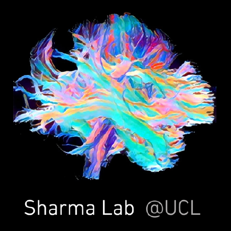 Sigma Lab Team Github - Download Amazing Colorful Pattern | 8K