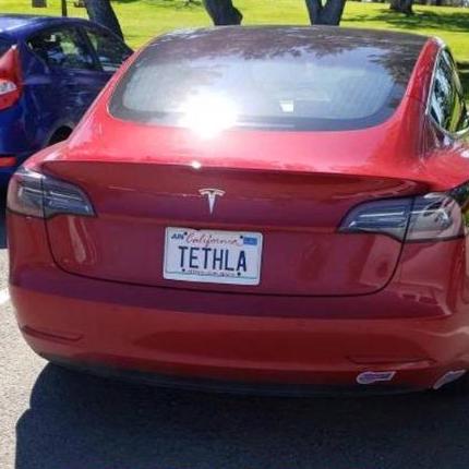 Teslabuds Github
