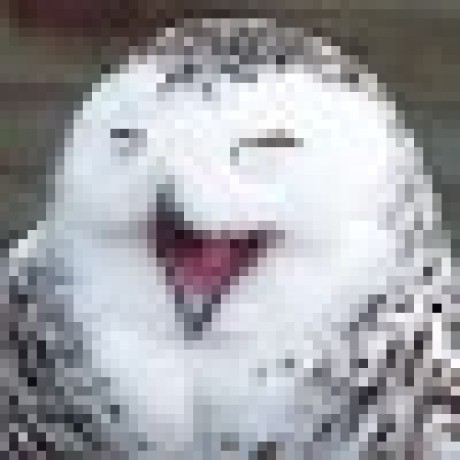 Mundi Github - Artistic High Resolution Abstract Illustrations | Free Download