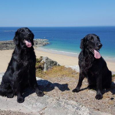 Servercore Mod 1minecraft - Nature Background Collection - 4K Quality