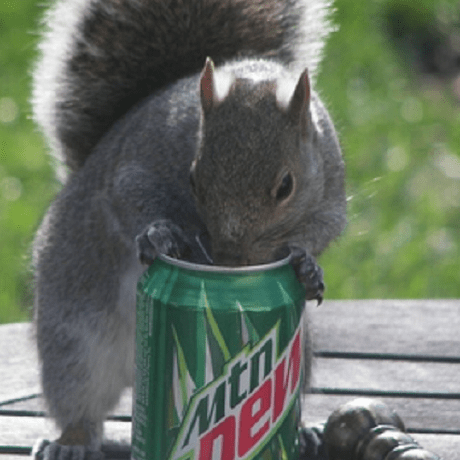 Jill Ye Jill Ye Github - Stunning Ultra HD Mountain Pictures | Free Download