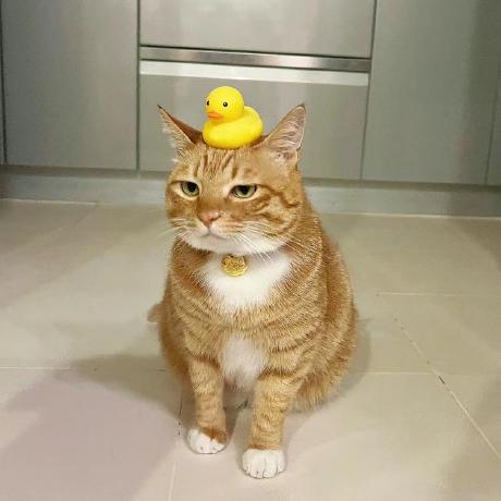 Dmitry Pestov Dmitry Perstov Github - Professional Mountain Art - 8K