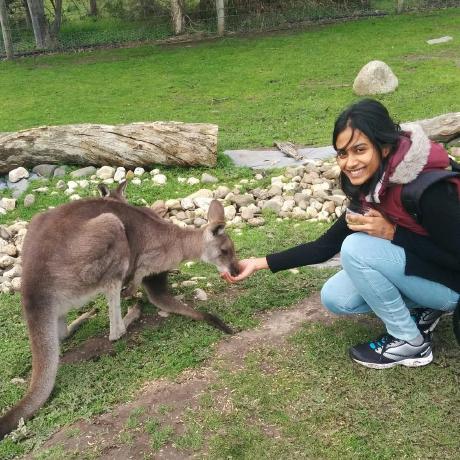 Harshimm Harshini Marappan Github - Landscape Photo Collection - Retina Quality