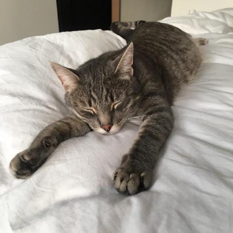 Github Alexandervdm Gummi Simple Latex Editor - Premium City Texture Gallery - Desktop