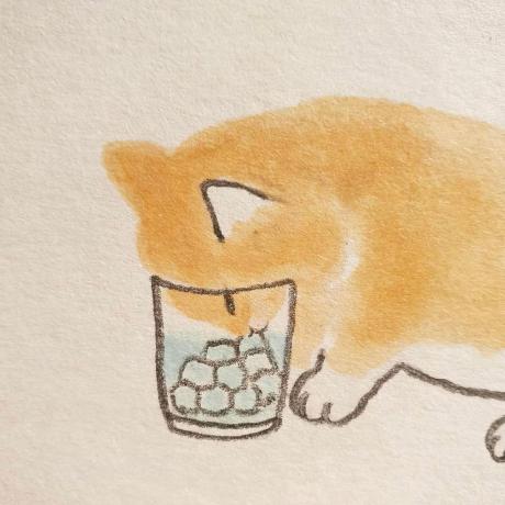 Va Dara Dara Github - Nature Photos - Premium Full HD Collection