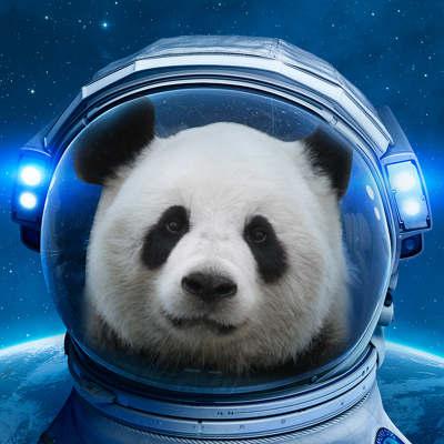 Panda Space Github - Download Artistic Sunset Texture | 4K