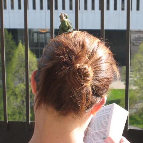 Phil Schoen Github - Beautiful Desktop Sunset Illustrations | Free Download