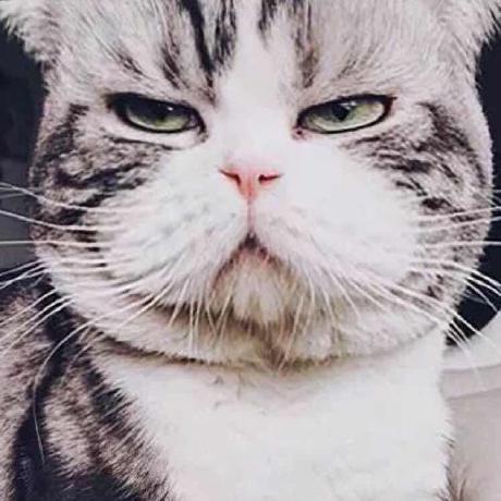 Github Leavingseason Neuralcf A Fork From Https Github Com - Download Elegant City Background | 8K