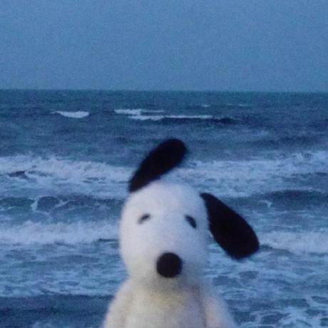 Joey Shen Joey Shen Github - Download Ultra HD Dark Photo | Desktop